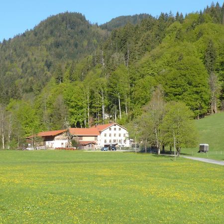 Gasthof Fallmuehle Pfronten Bagian luar foto