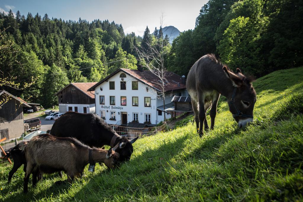Gasthof Fallmuehle Pfronten Bagian luar foto