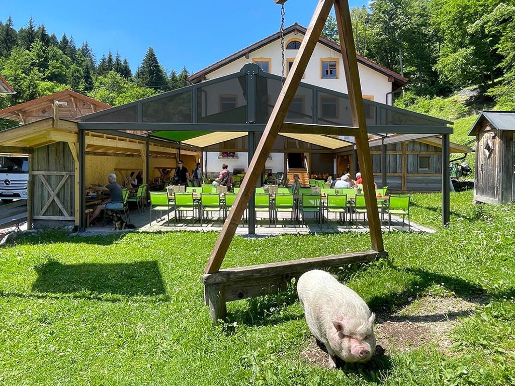 Gasthof Fallmuehle Pfronten Bagian luar foto