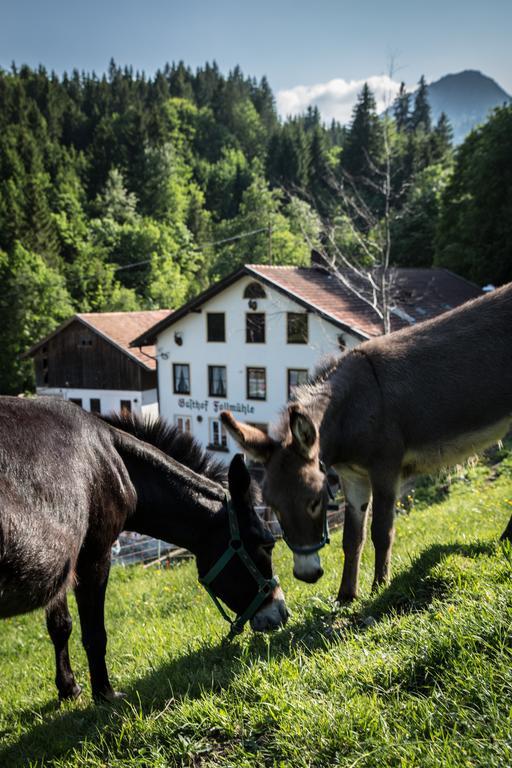 Gasthof Fallmuehle Pfronten Bagian luar foto