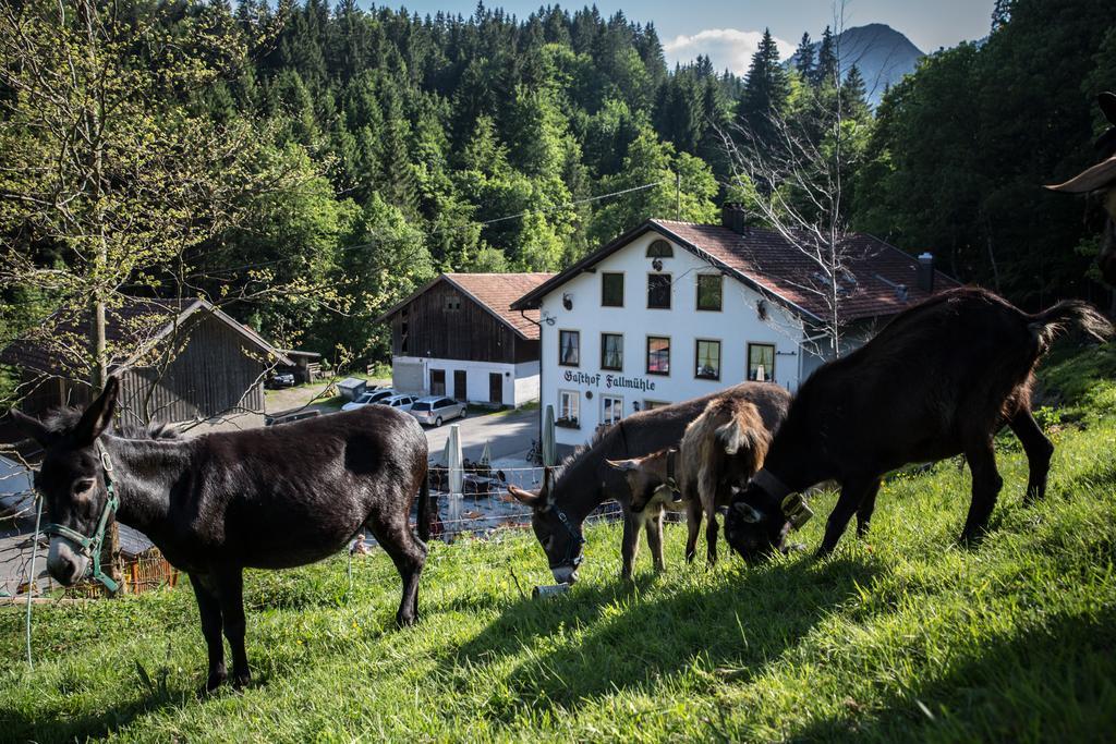 Gasthof Fallmuehle Pfronten Bagian luar foto
