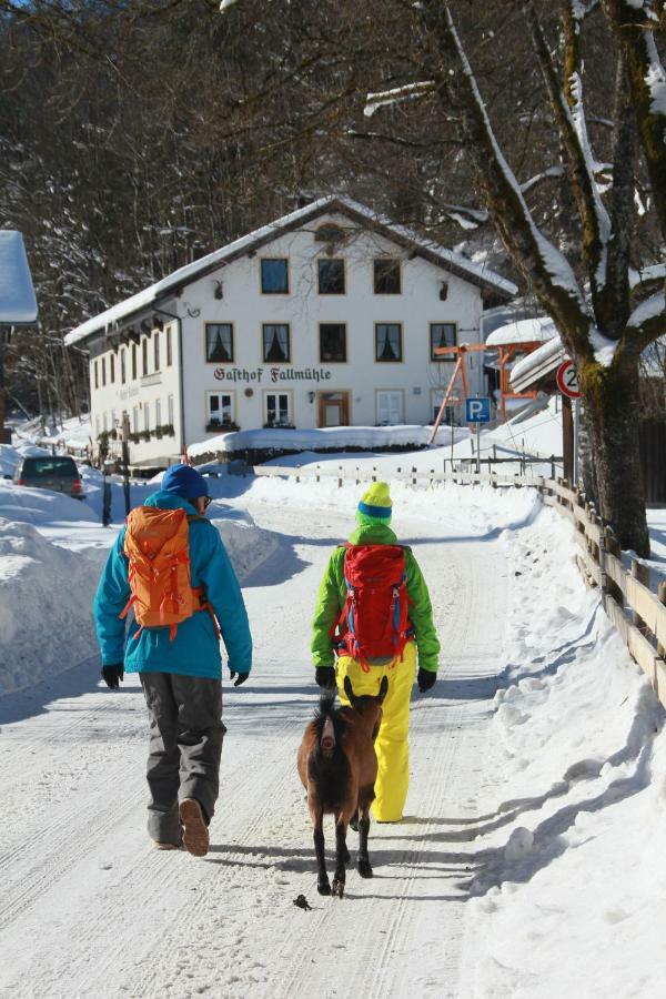 Gasthof Fallmuehle Pfronten Bagian luar foto